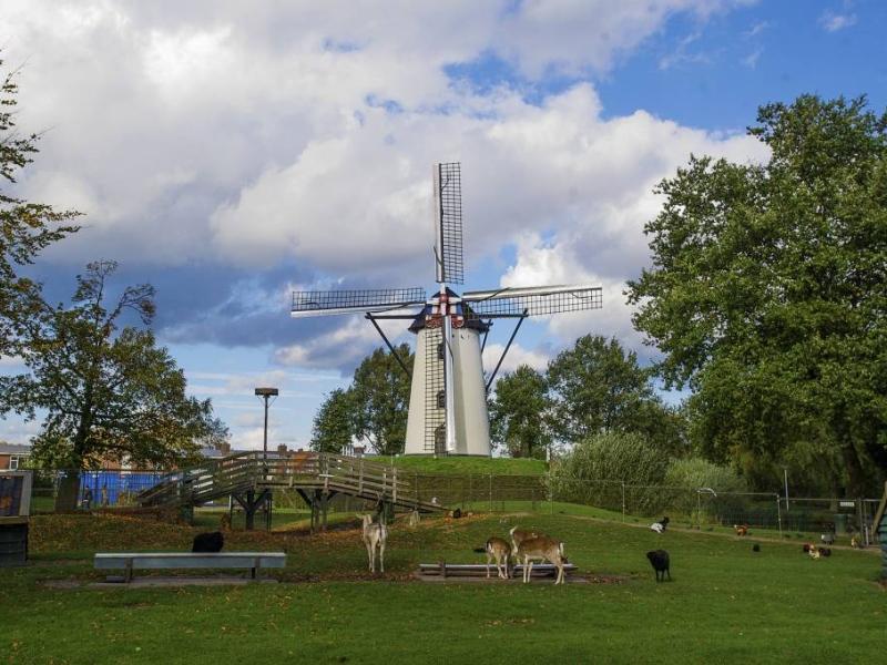 De Wilde Mill, Goirle