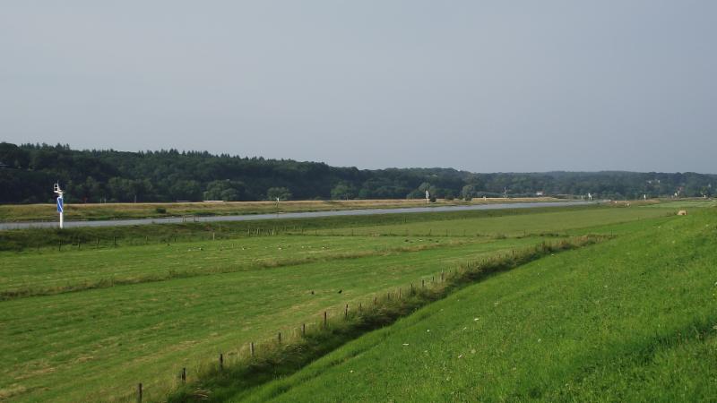 Paarden bij Driel