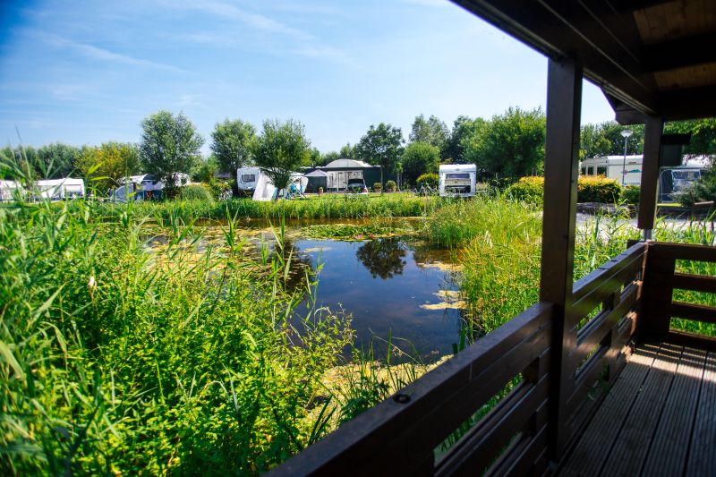 Polderflora Camping