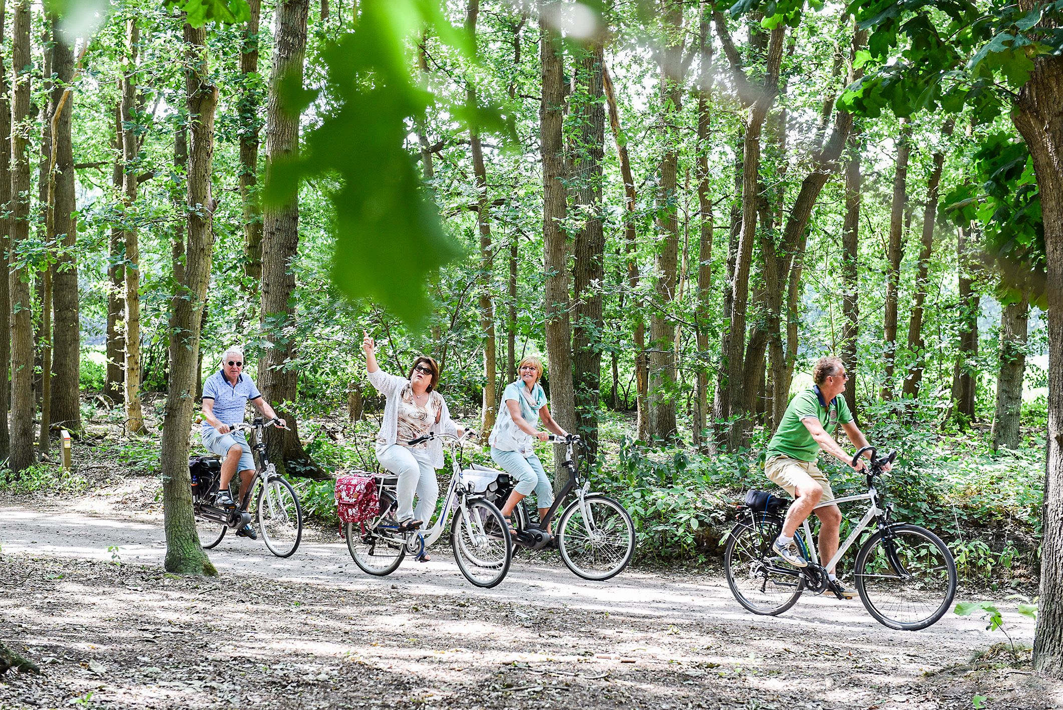 De 9 mooiste fietsroutes op de Utrechtse Heuvelrug