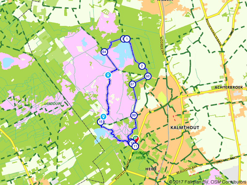 Op pad in Nationaal Park Kalmthoutse Heide