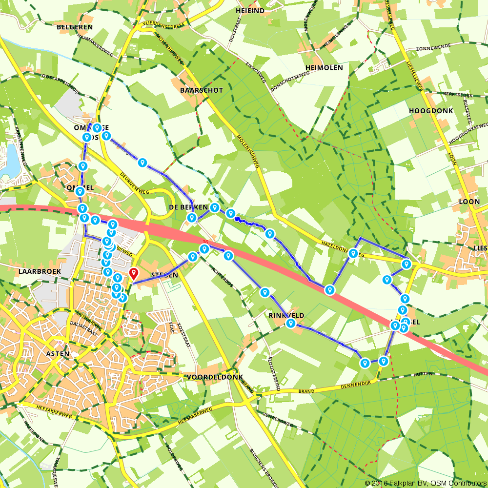 543065 Asten, Birch Back Forest